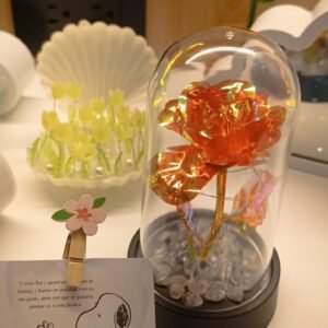 whatsapp image 2026 01 18 at 16.32.28